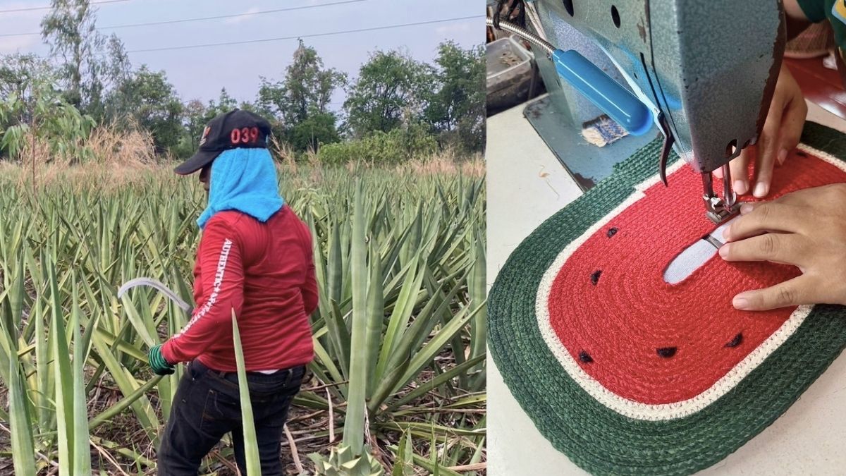 FROM FIBRE TO BAG – THE JOURNEY OF SISAL IN THAILAND