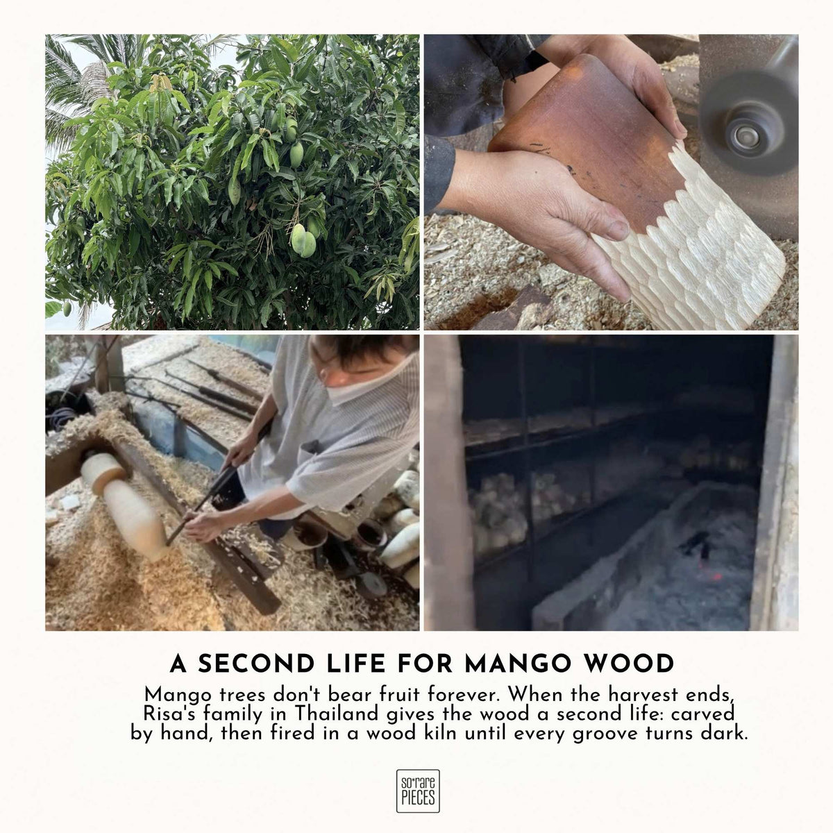 Hand-carved Mango Wood Vase Set · Natural