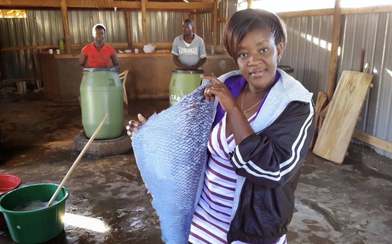 Ira Ambani in Fish Leather Factory