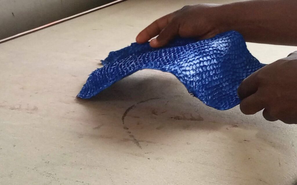 Blue Ambani Fish Leather