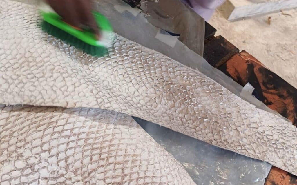 Processing of white fish leather with green brush